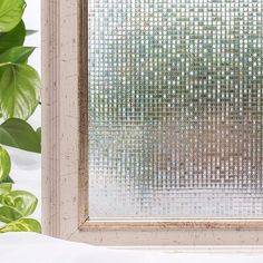 a close up of a window with plants in the background