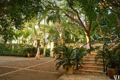 a woman is standing on the steps in front of some trees and plants with potted plants