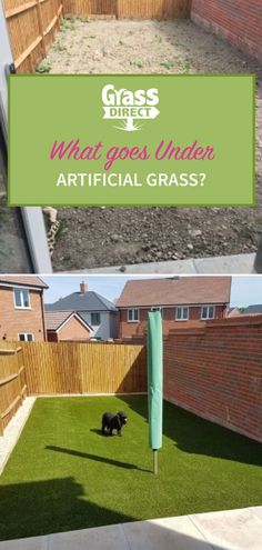 an artificial grass yard with a dog in it and the words, what goes under artificial grass?