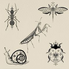 Line Work Bug Tattoo, Vintage Animal Illustration Tattoo, Flash Pages Tattoo, Slug Bug Tattoo, Geometric Bug Tattoo, Side View Dragonfly Tattoo, Insect Tattoo Stencil, Simple Bug Tattoo Ideas, Fine Line Tattoos After Years