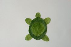 a green turtle made out of leaves on a white surface