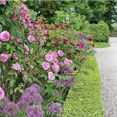 pink and purple flowers line the side of a road in front of green grass, shrubs and trees