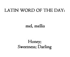 the words latin word of the day mel, mellis honey sweetness darling