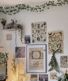 there are many pictures and plants on the wall