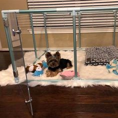 a small dog sitting on top of a bed with stuffed animals in it's cage