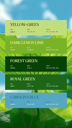 the website design for yellow - green, dark lemon lime and forest green royal blue