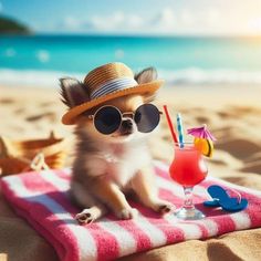 a small dog wearing sunglasses and a straw hat sitting on a towel at the beach