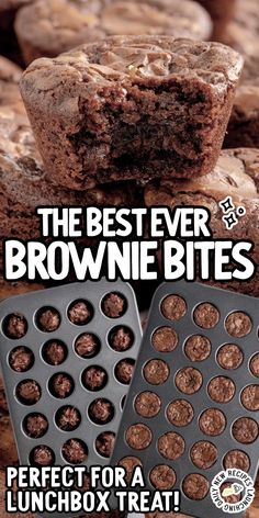 the best ever brownie bites perfect for a lunchbox treat