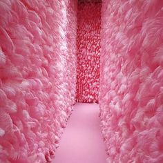 pink feathers are lined up in the middle of a hallway that leads to another room