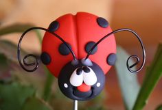 a red and black lady bug sitting on top of a green plant