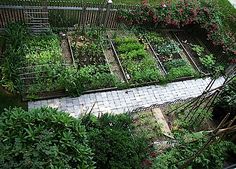 an aerial view of a garden with lots of plants