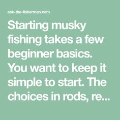 a quote that says starting murky fishing takes a few beginner basics you want to keep