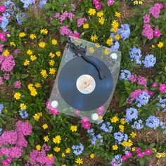 an old record player surrounded by flowers and other wildflowers in the grass, top view from above