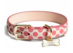 a pink and white polka dot dog collar with a bone charm