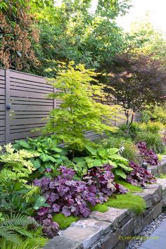 a garden filled with lots of green and purple flowers