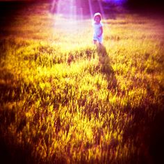 a little boy standing in the middle of a field with sun shining down on him