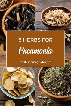 Discover the power of herbal remedies for pneumonia with a strong respiratory support tea blend. Herbs like Lobelia, Mullein, Elecampane, Lungwort, and Osha root can provide essential relief. Clear out mucus and detoxify your lungs naturally with these effective herbs known for their respiratory health benefits. Explore the best tea options to support your lungs and aid in fast recovery during pneumonia. Incorporate foods that help cleanse and nourish your lungs as part of home remedies for pneu Herbal Remedies For Pneumonia, Osha Root Benefits, Benefits Of Mullein Tea, Herbal Remedies Aesthetic, Herbs For Pneumonia, Tea For Mucus Relief, Herbs For Respiratory Health, How To Dry Mullein Leaves, Natural Remedies For Pneumonia