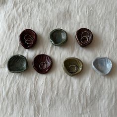 seven seashells are arranged on a white sheet