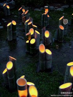 many lit candles are placed in the grass