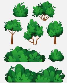 various types of trees and bushes