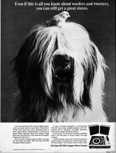 an old advertisement with a dog in it's mouth and the caption says, even if this is you know about wonders and tweeers, you can still get a great stereo