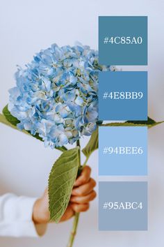 a person holding a blue flower in their hand with the words 4 53 am on it