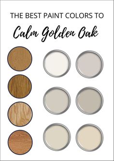 the best paint colors to use for furniture and home decor with text overlay that says,