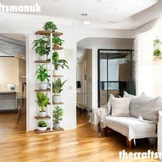 a living room filled with furniture and lots of plants