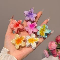 Flower Hair Clips Aesthetic, Mini Flower Clips, Summer Gradient, Girls Beach, Thick Curly Hair, Hair Accessories Collection, Acrylic Flower, Holiday Flower, Flower Hair Pin