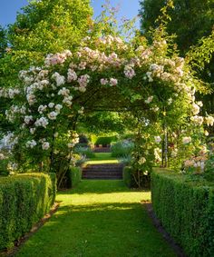 a garden with lots of flowers and bushes on the side of it, surrounded by hedges