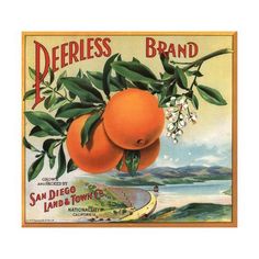 an advertisement for san diego's land & town citrus fruit