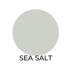 the words sea salt are in black and white letters on a light gray background with an oval