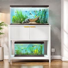 a fish tank sitting on top of a white cabinet