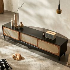 a cat laying on the floor in front of a tv stand with speakers and vases