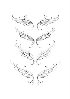 the back side of a drawing of two wings with swirls on each wing, and an