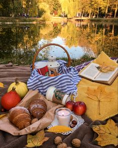 the picnic is ready to be eaten on the blanket by the water and autumn leaves