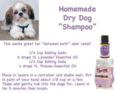 an advertisement for a dog grooming product with information about the products and description on it