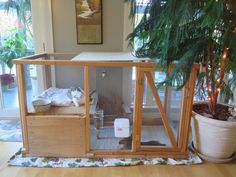 a cat in a cage on the floor next to a potted plant and window