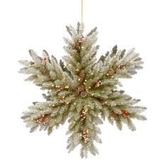 a christmas ornament with pine cones and lights hanging from it's side