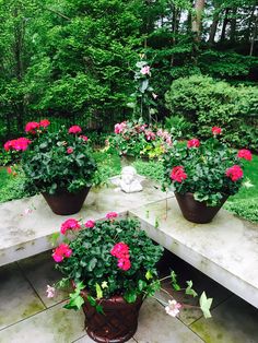 several potted flowers sitting on top of a stone bench