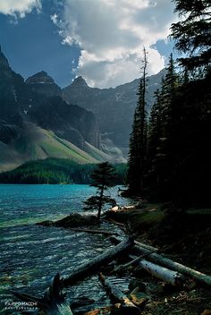 the water is crystal blue and there are trees on the shore in the foreground