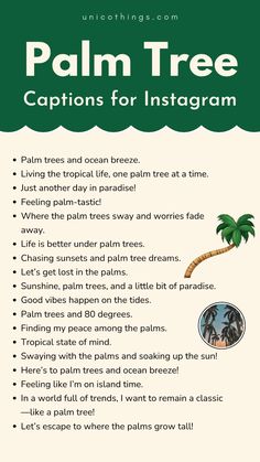 palm tree captions for instagram