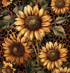 Sunflower Pictures, Sunflower Wallpaper, Beautiful Photos Of Nature, Pretty Photos, Cellphone Wallpaper, Wreath Sign, Png Download, Nature Photos, Shadow Box