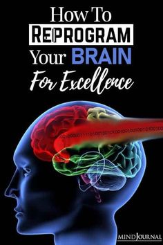 the cover of how to reprogram your brain for excellence