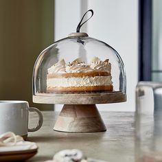 a cake under a glass dome on top of a table next to a cup and saucer