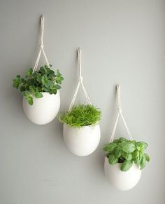 three white hanging planters with plants in them on a gray wall next to a potted plant