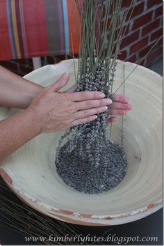 a person is holding some grass in a bowl