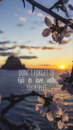 the sun is setting behind some white flowers and there is a quote on it that says, don't forget to fall in love with yourself