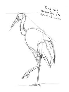 a drawing of a crane standing on one leg