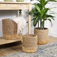 three woven baskets with plants in them on a wooden floor next to a rug and table